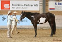 22-APHA HTB_024